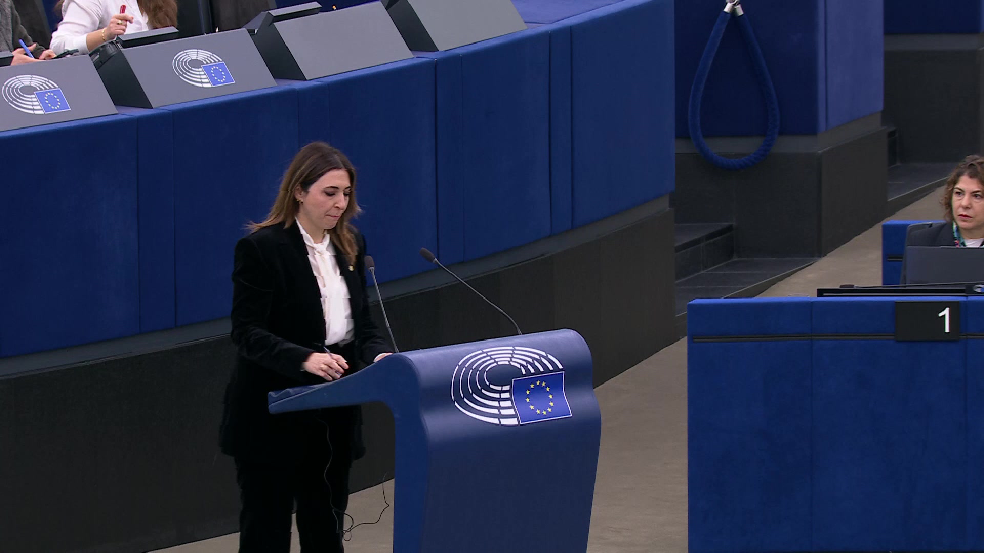 EUCO and situation in the Middle East: opening statement by Marilena RAOUNA, Cypriot Deputy Minister for European Affairs